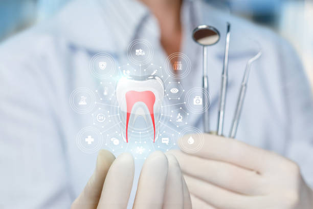 Best Full Mouth Reconstruction  in Orland Hls, IL